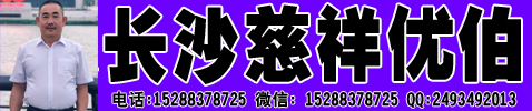 ϸ